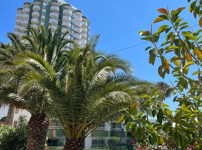 Ocean View - Amazing Sunset - Modern Style - Pool & 200m To * Portimão