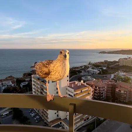 شقة Ocean View - Amazing Sunset - Modern Style - Pool & 200m To *